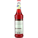 Monin Sirup Bitter
