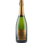 Arte Latino Brut