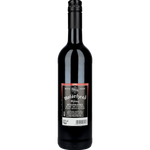 Motörhead Shiraz