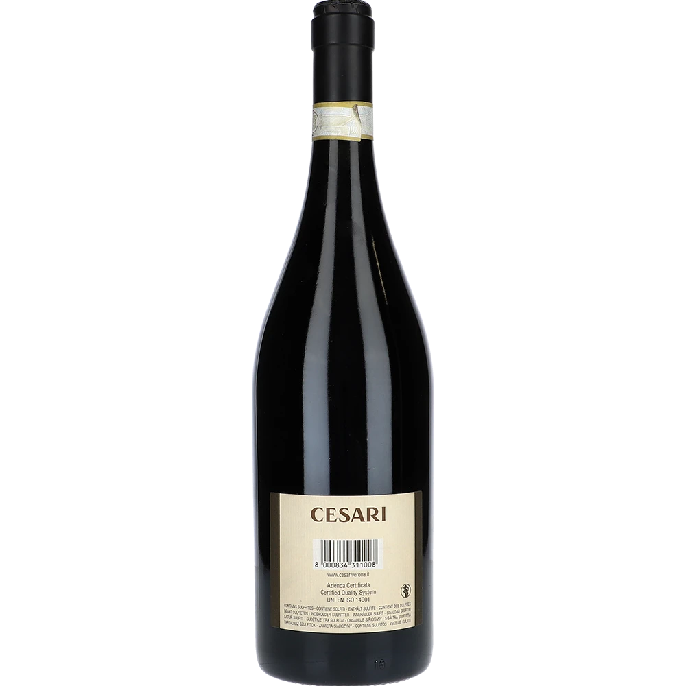 Cesari Il Bosco Amarone