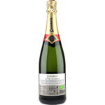 Codorniu Clasico Brut