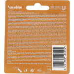 Vaseline Lipstick Cocoa Butter